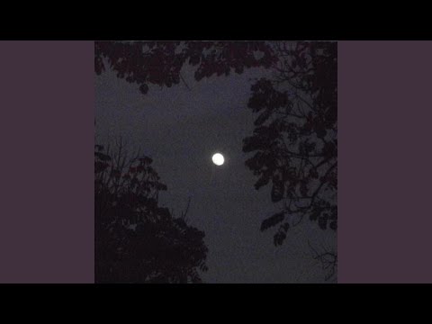 El sueño de la luna|View4views